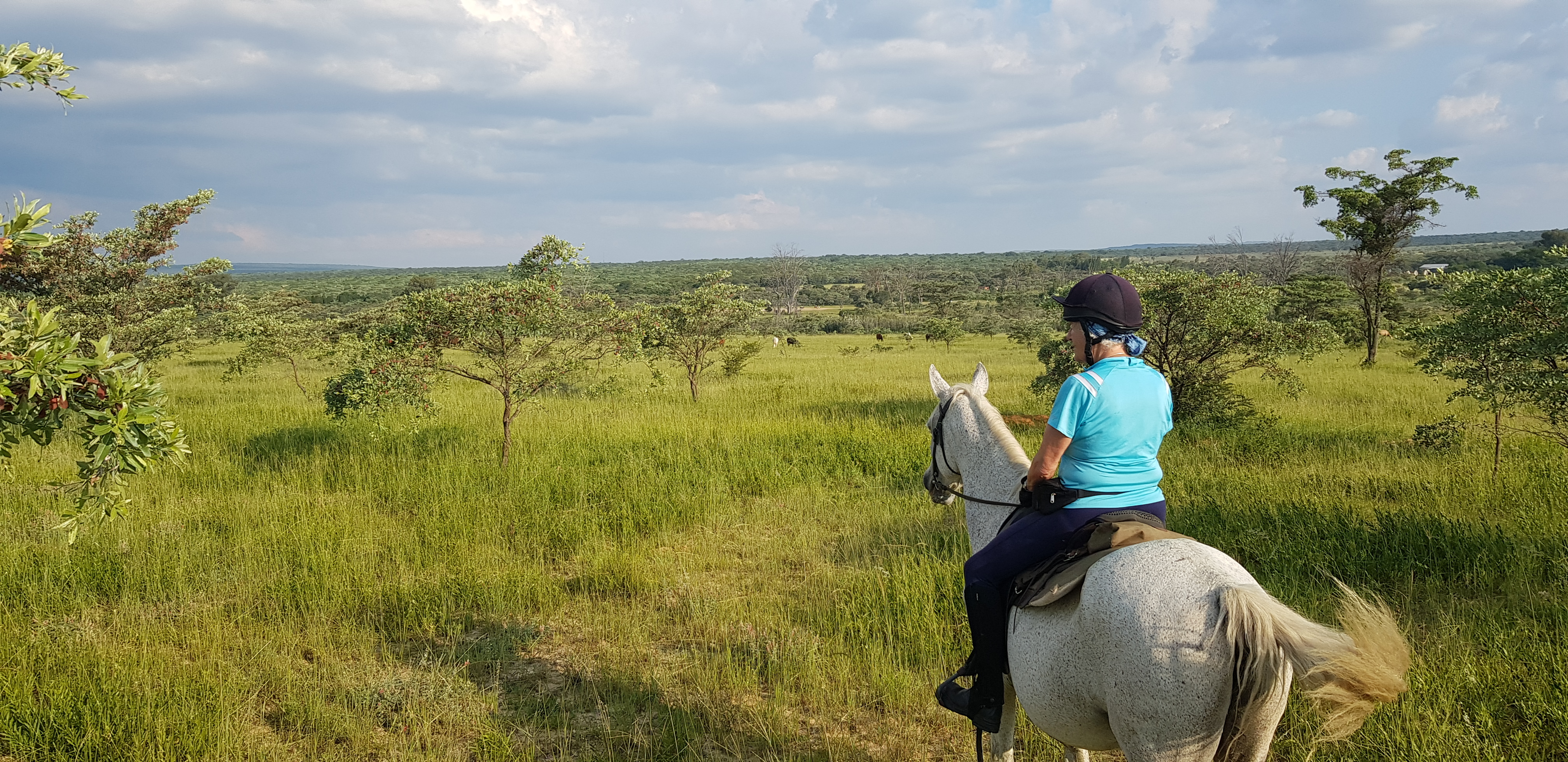 Horseback views in South Africa