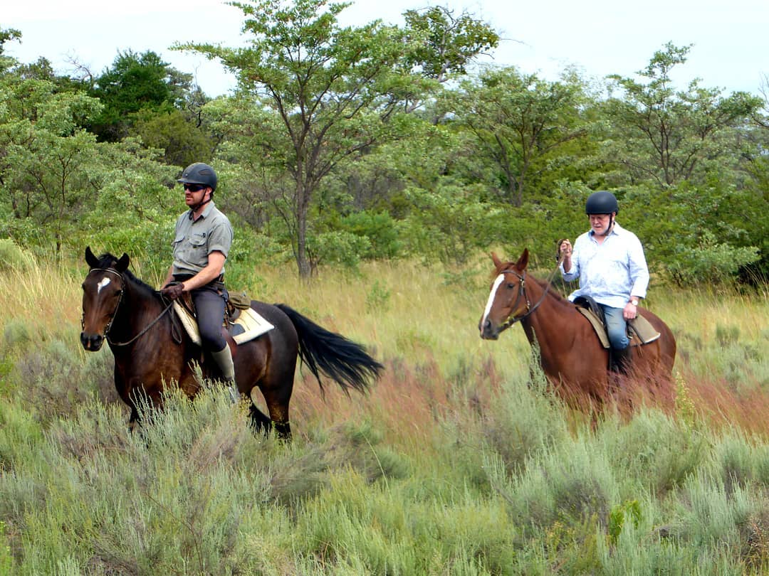 Exploring shrubveld in South Africa on horseback