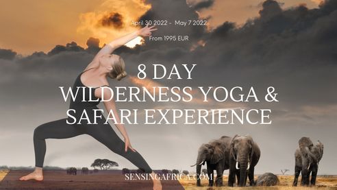 April 2022: Yoga Wilderness & Safari Experience