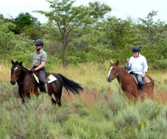 Exploring shrubveld in South Africa on horseback