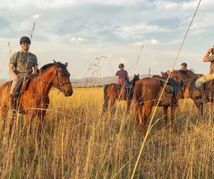 Riding horses on the grasslands