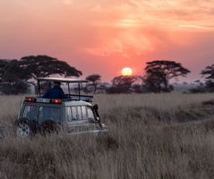  4x4 safari in Kenya at sunset