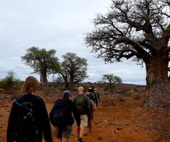 Walking Safari in South Africa