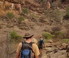 Walking safari in Botswana